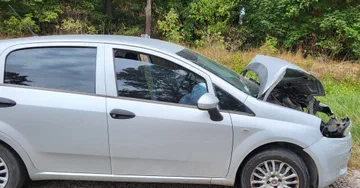 Fiat Punto 2010