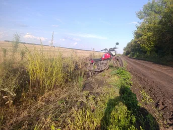 BSE CS150XL 2014