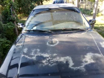 Audi 100 1993