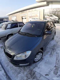 Skoda Fabia 2010