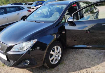 SEAT Ibiza 2010