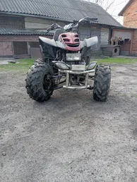 Bashan BS250 2010