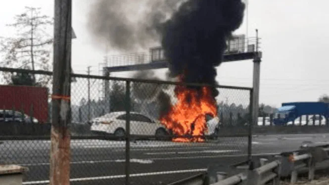 Від «Тесли» вимагають $1 млн компенсації через двері