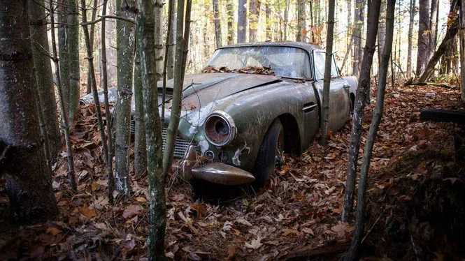 З лісу прямо на аукціон – незакінчена історія одного купе Aston Martin