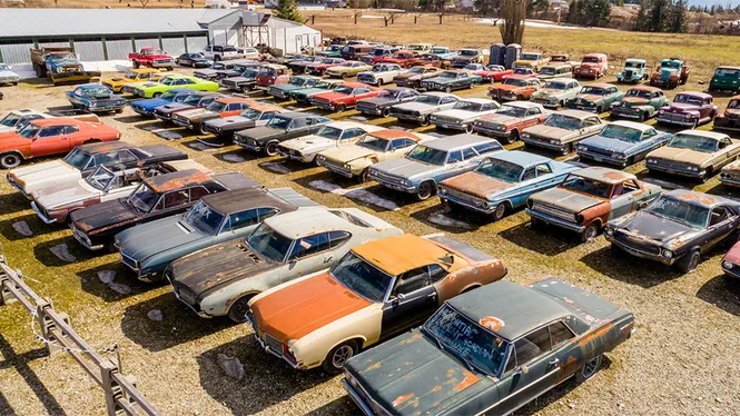 2 гектари підтримуваних автомобілів продають у Канаді