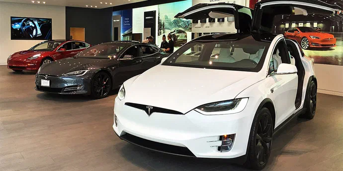 Режим сторожа з'явився в кожній моделі Tesla (ВІДЕО)