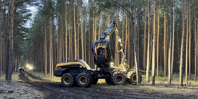 Tesla масово вирубує ліс у Німеччині для свого «зеленого» підприємства