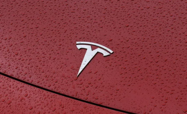 Tesla представить «доступніші моделі» вже влітку