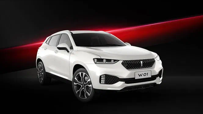 Great Wall створив 2 преміальних кросовери