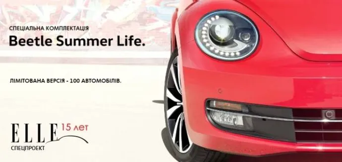 Beetle Summer Life