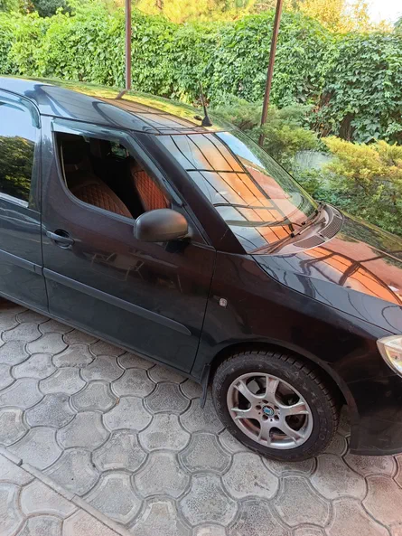 Skoda Roomster 2008 - 2