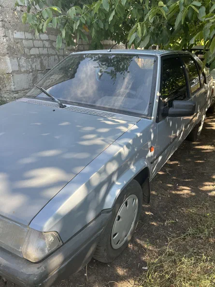 Citroen BX 1988 - 3