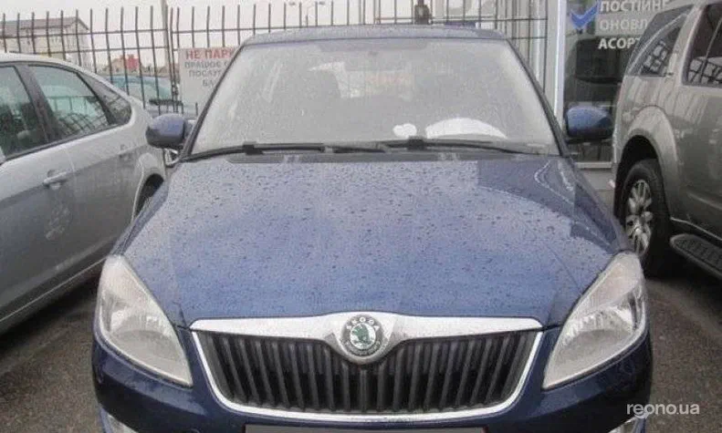 Skoda Fabia 2010 - 1