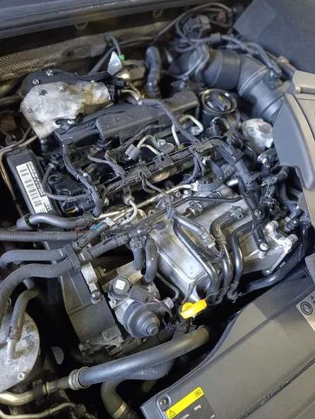 Volkswagen Passat (North America and China) 2015 - 1