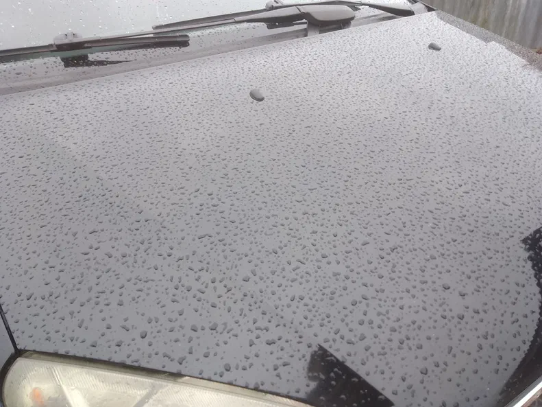 Ford Focus 2004 - 3