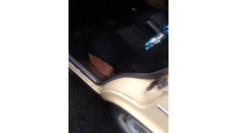 Lada (ВАЗ) 2106 1987 - 10