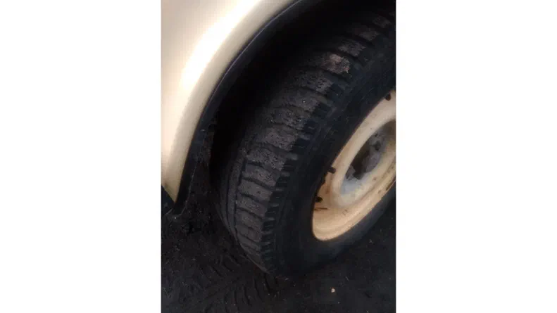 Lada (ВАЗ) 2106 1987 - 8