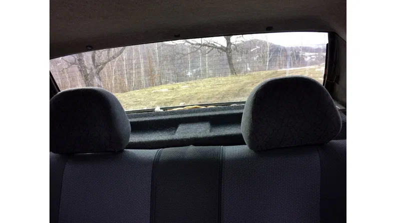 Lada (ВАЗ) 21099 2005 - 5