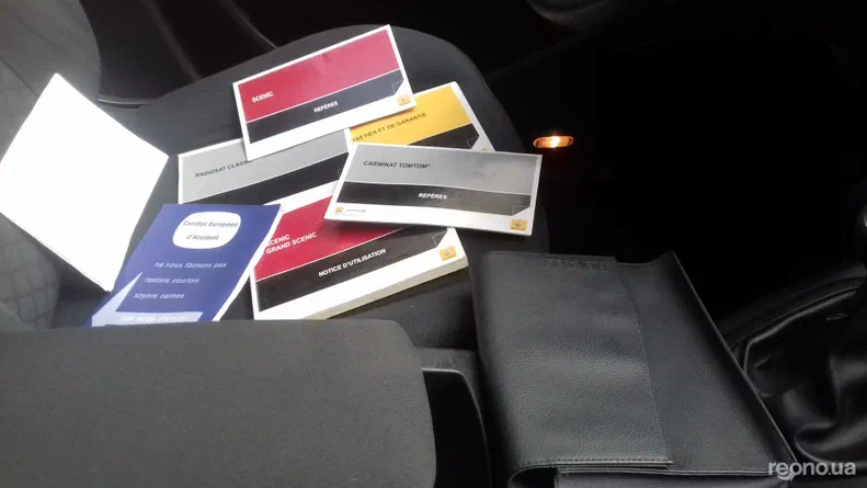 Renault Scenic 2010 - 18