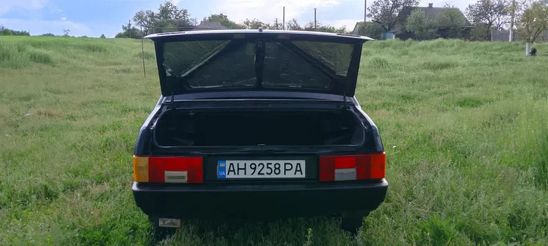 Lada (ВАЗ) 21099 2008 - 10