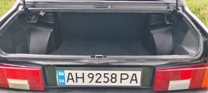 Lada (ВАЗ) 21099 2008 - 11