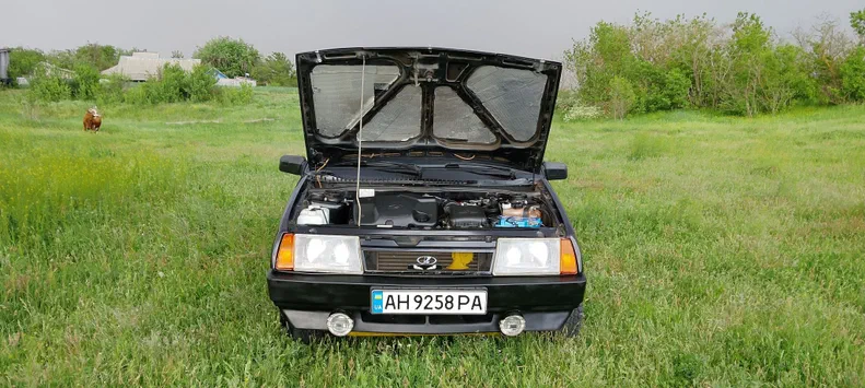 Lada (ВАЗ) 21099 2008 - 23