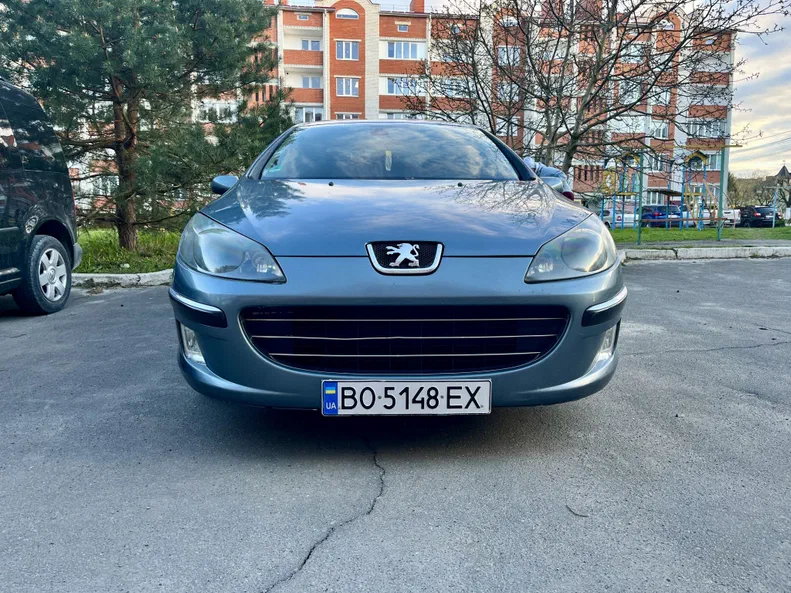 Peugeot 407 2007 - 8