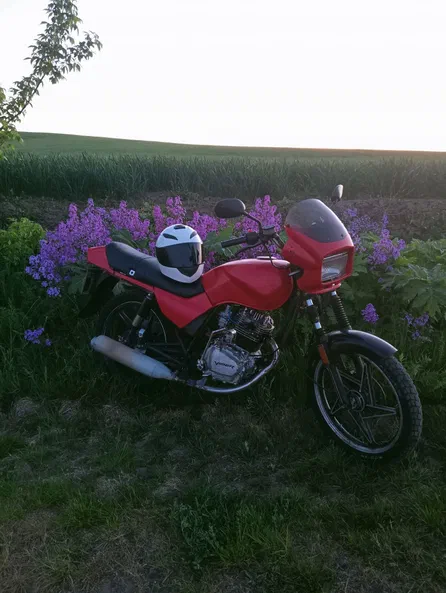 VIPER V150 2013 - 15
