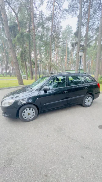 Skoda Fabia 2011 - 1
