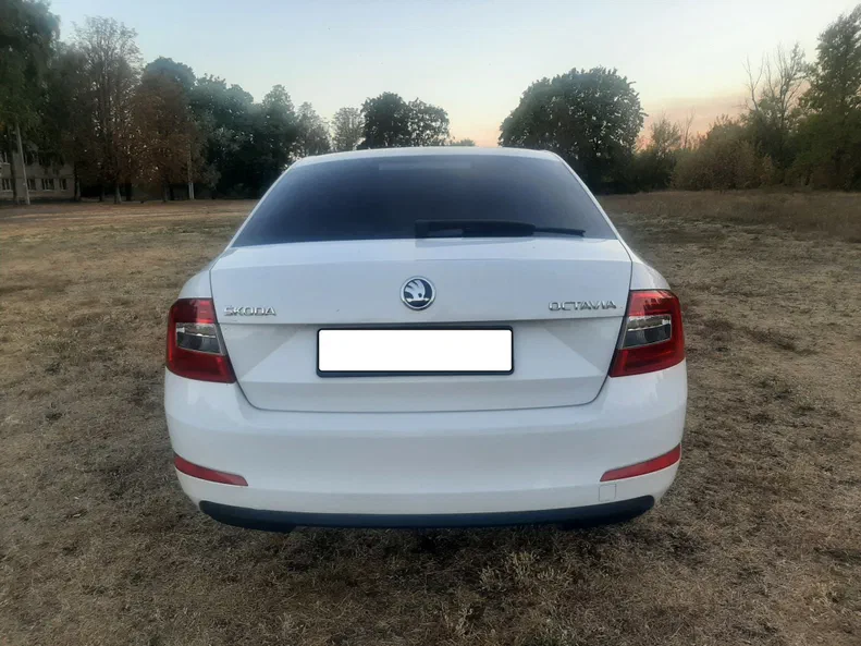 Skoda Octavia 2015 - 6