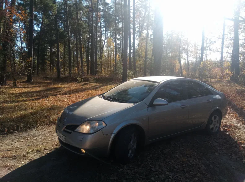 Nissan Primera 2005 - 5