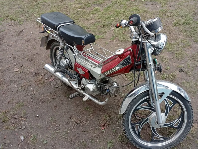 DELTA 49,9 см3 2018 - 9