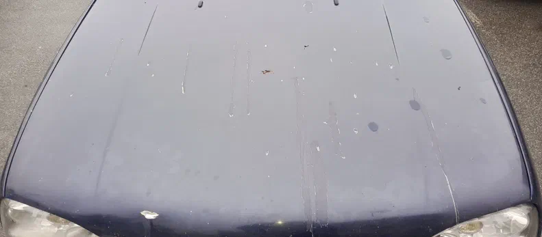 Volkswagen Golf 1995 - 12