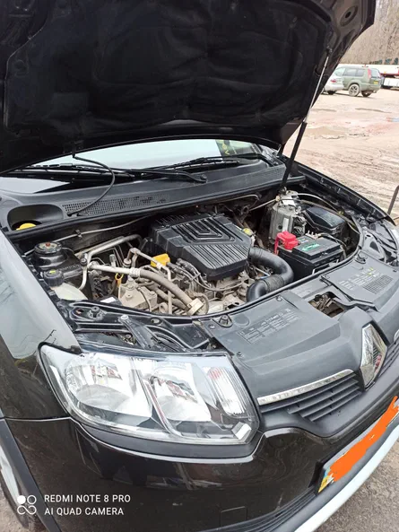 Renault Sandero 2013 - 9