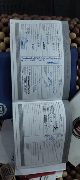 Fiat Doblo 2010 - 22