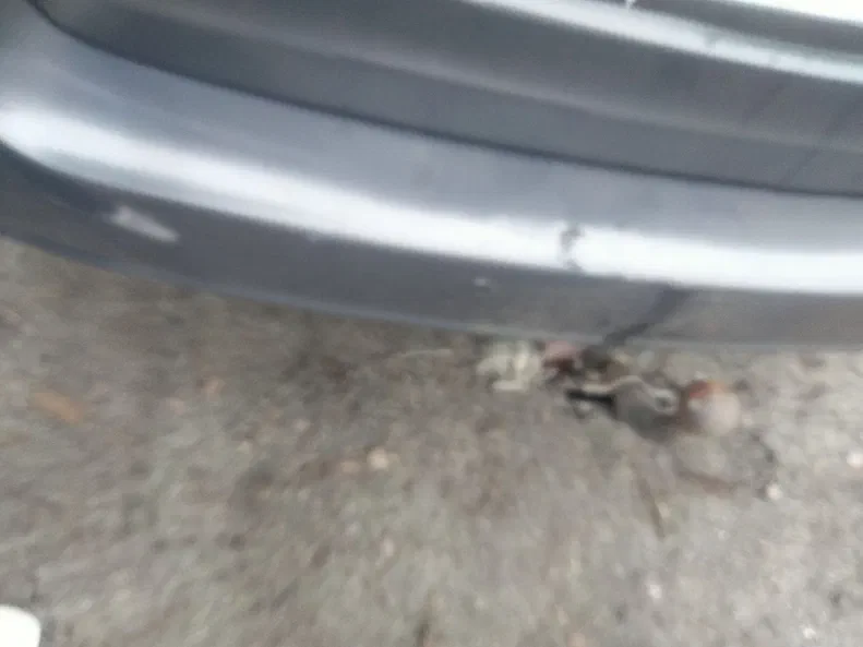 Toyota Avensis 2004 - 6