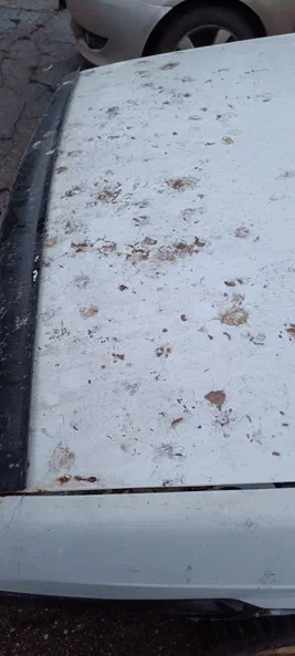 Lada (ВАЗ) 2109 2002 - 19