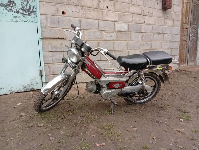 DELTA 49,9 см3 2018 - 8