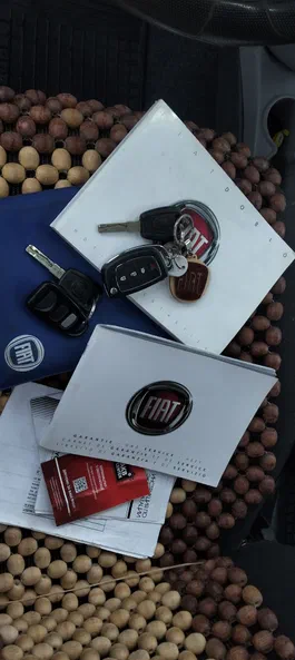 Fiat Doblo 2010 - 21