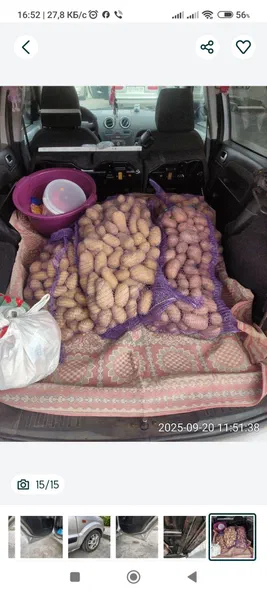 Ford Fusion (North America) 2008 - 5