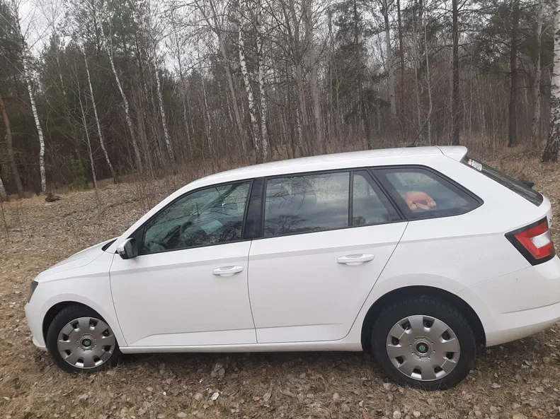 Skoda Fabia 2016