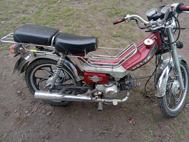 DELTA 49,9 см3 2018