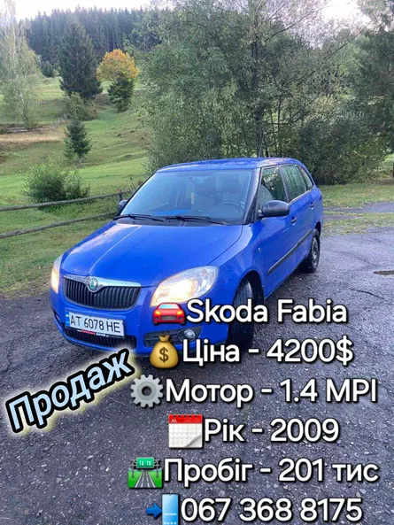 Skoda Fabia 2009 - 1
