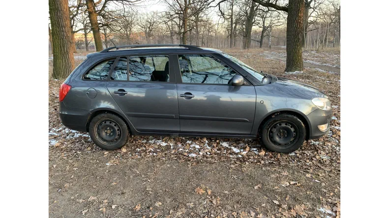 Skoda Fabia 2010 - 12