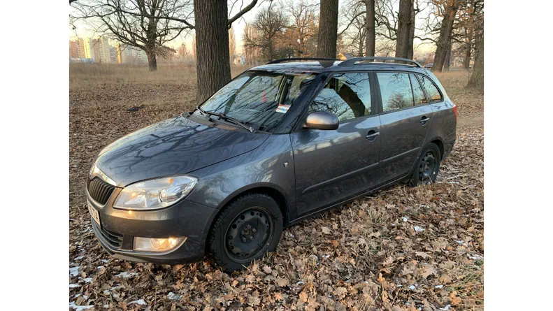 Skoda Fabia 2010 - 15