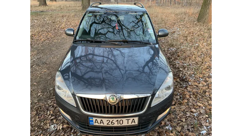 Skoda Fabia 2010 - 14