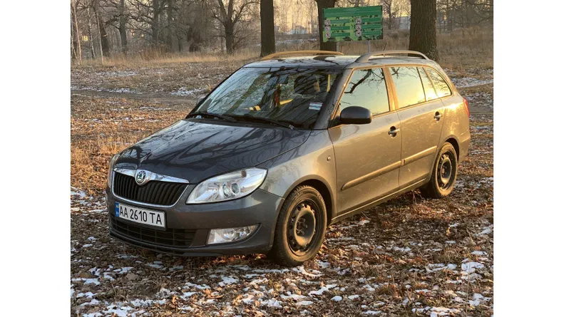 Skoda Fabia 2010