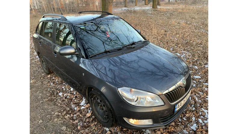 Skoda Fabia 2010 - 13