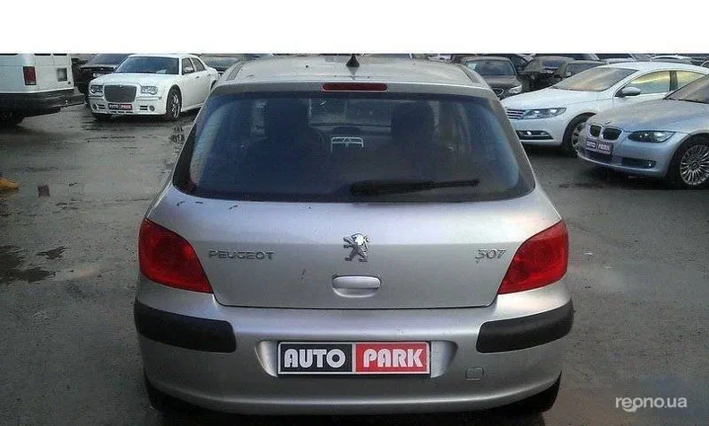 Peugeot 307 2007 - 12