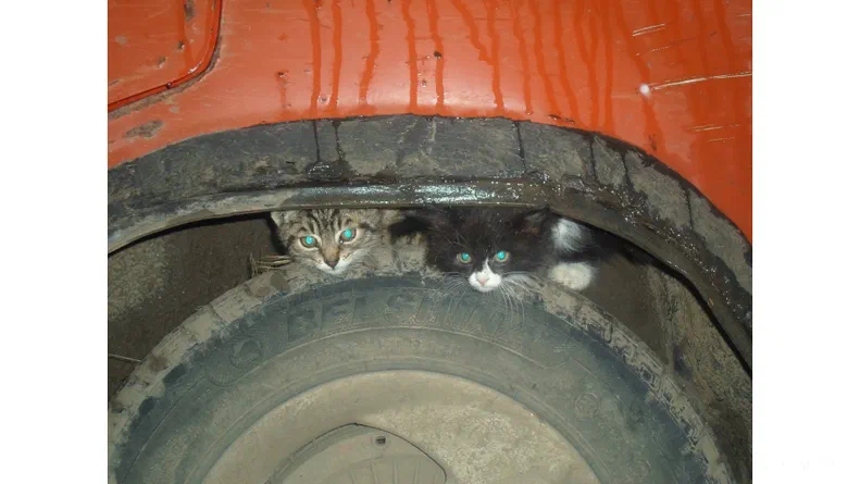 Lada (ВАЗ) 2105 1985